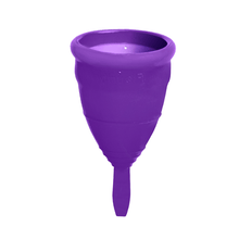 Carregar imagem no visualizador da galeria, Coletor Menstrual Fleurity